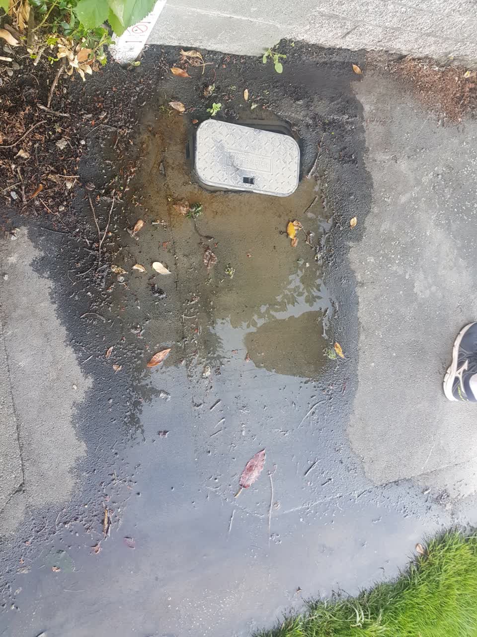 The photograph attached to this water leak report