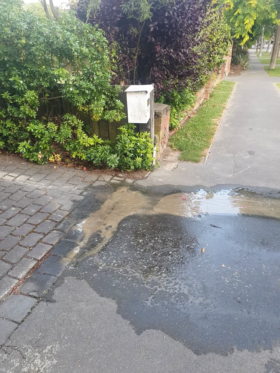 The photograph attached to this water leak report