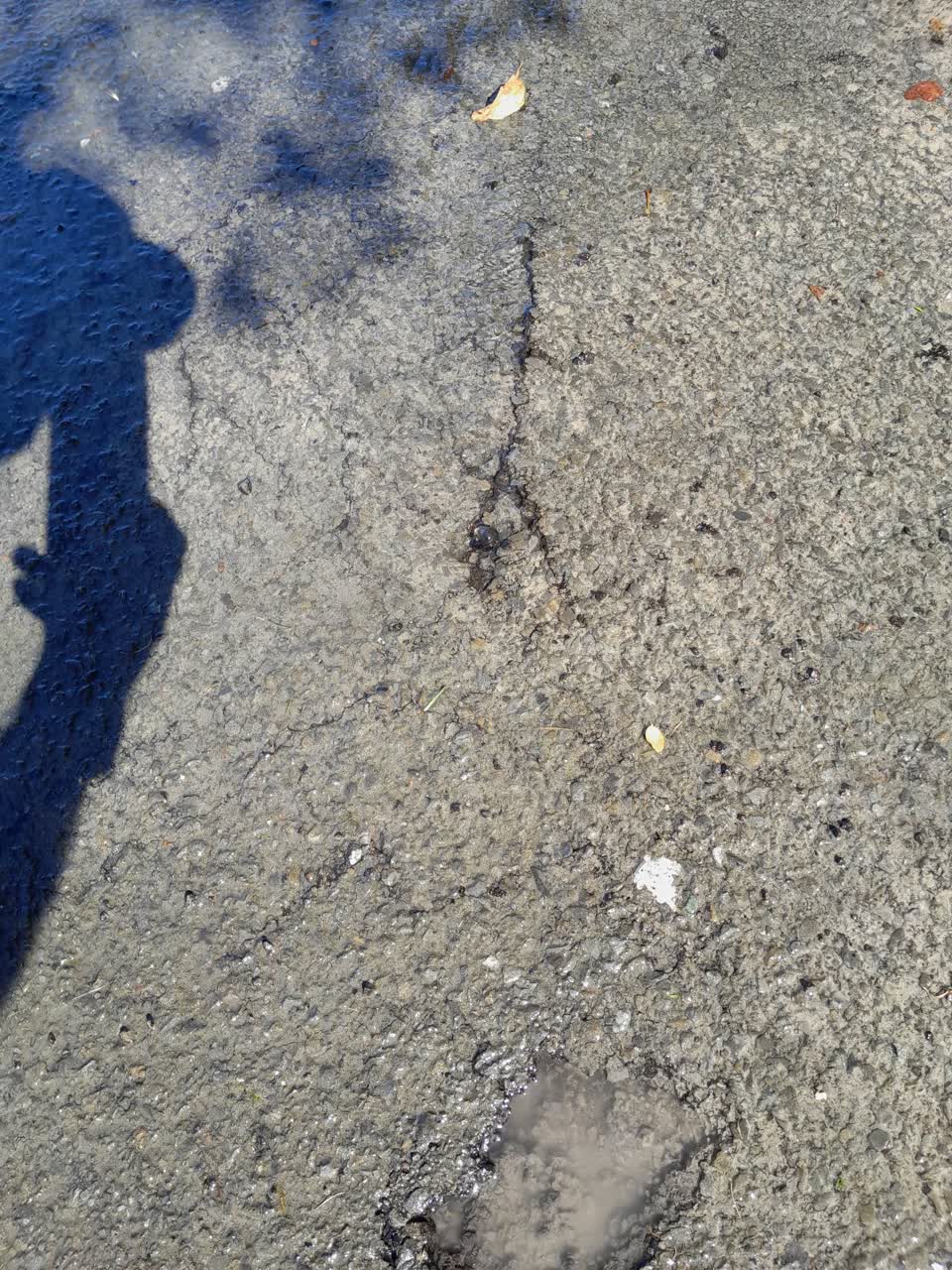 The photograph attached to this water leak report