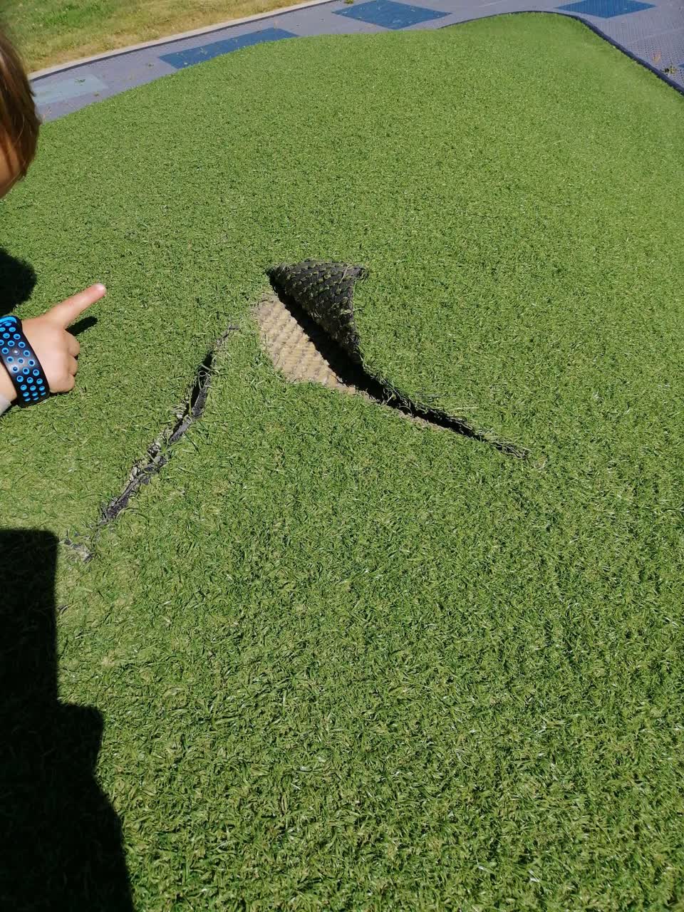 The photograph attached to this parks report