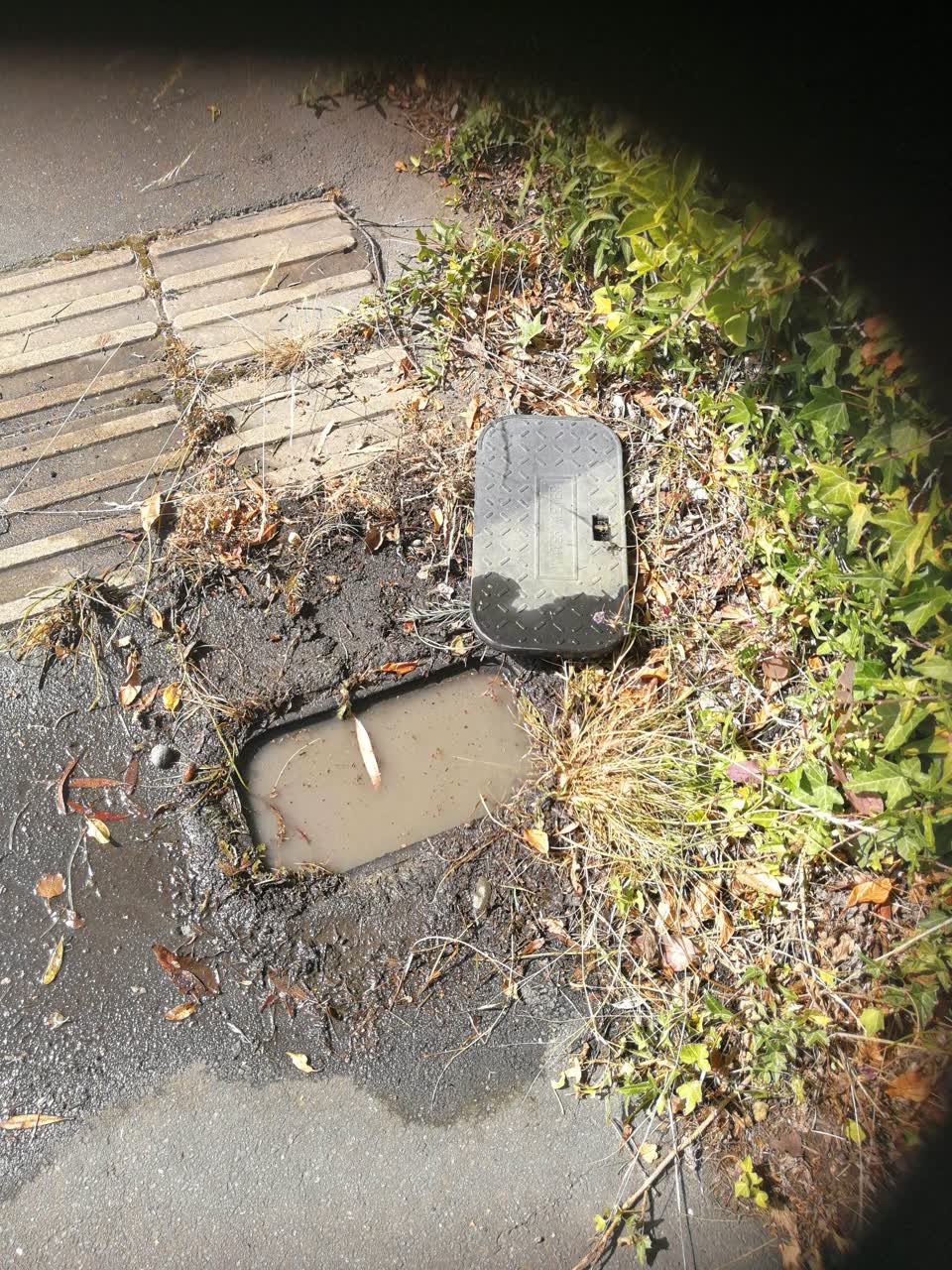The photograph attached to this water leak report