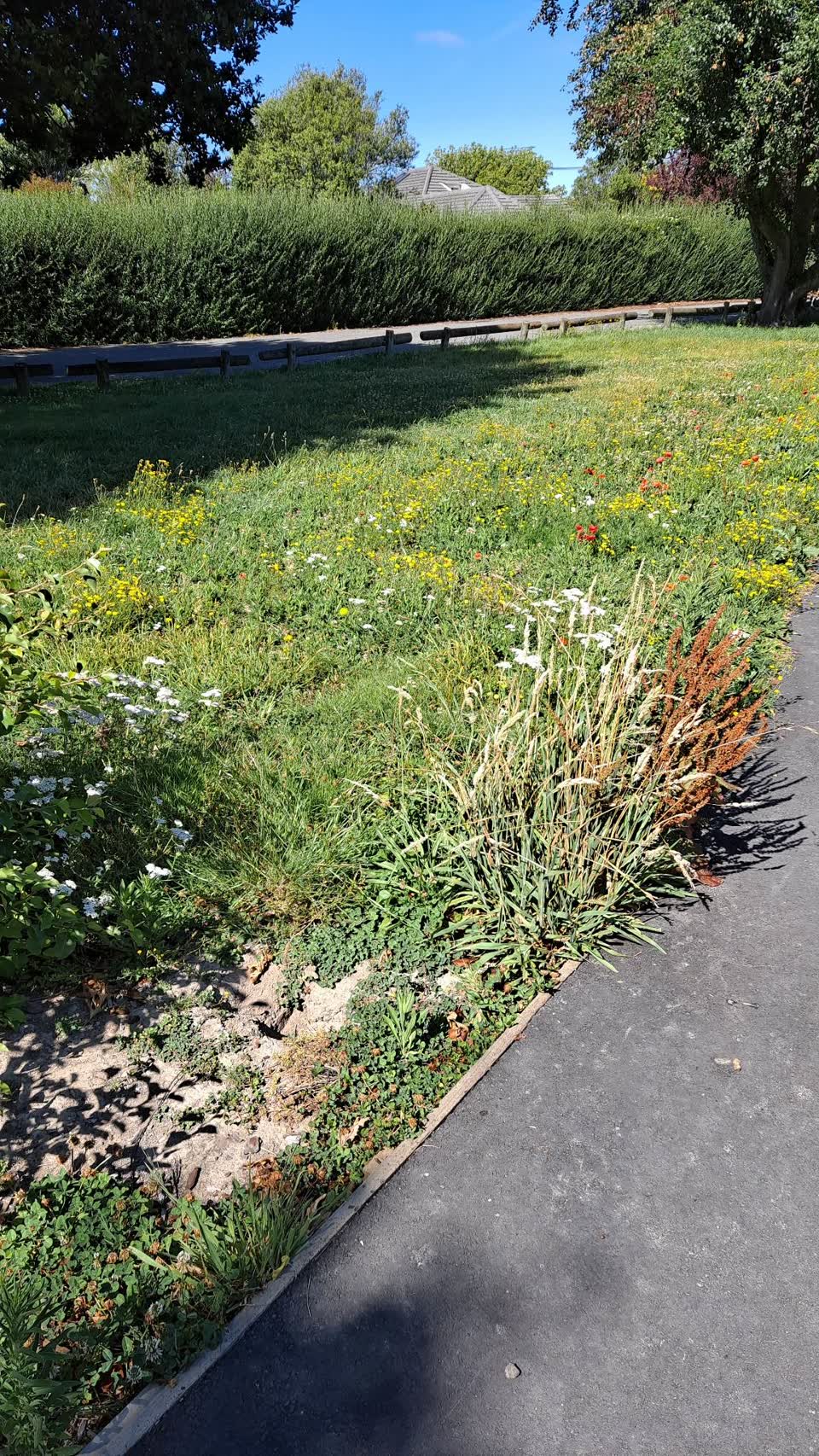 The photograph attached to this parks report
