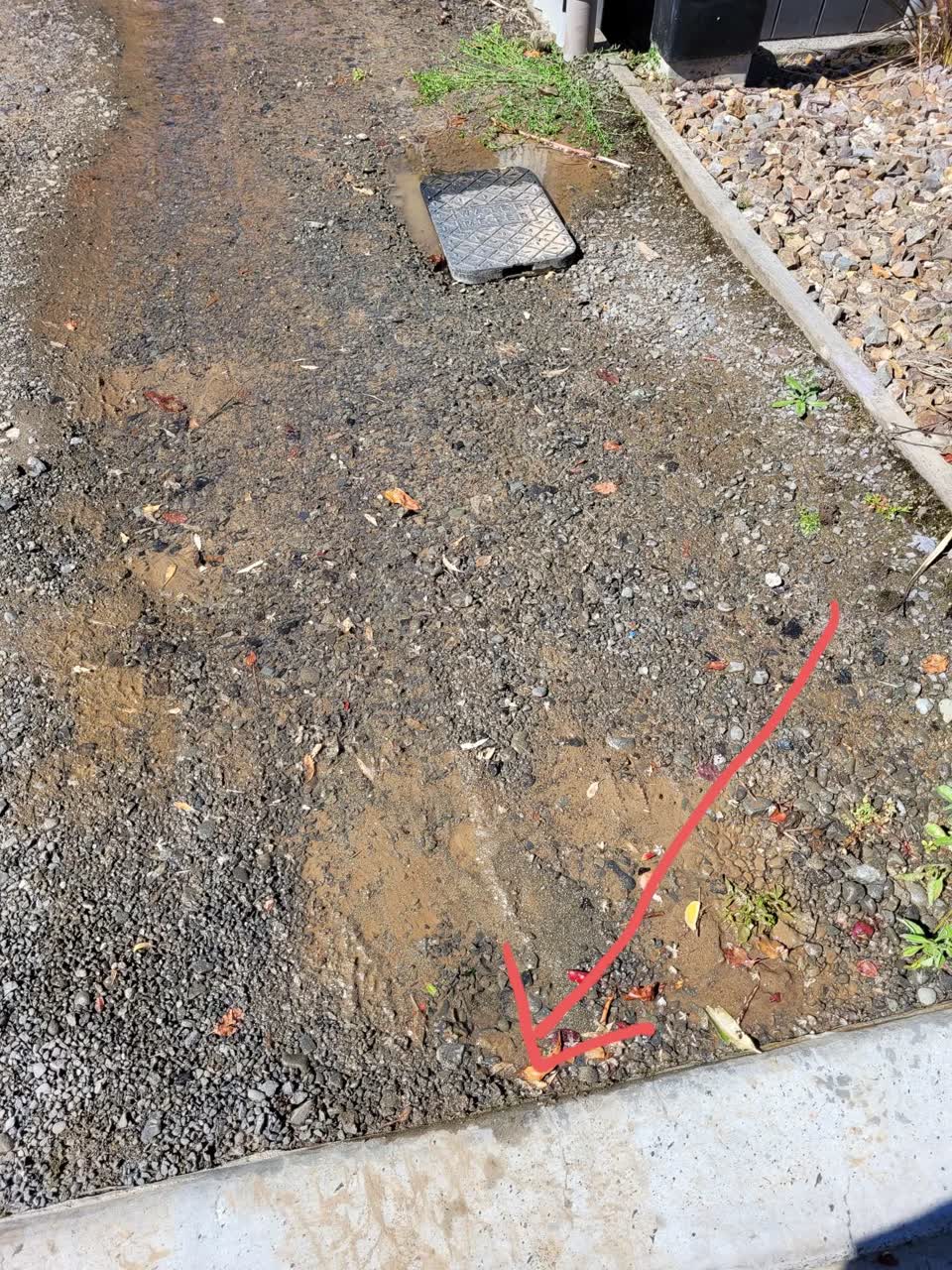 The photograph attached to this water leak report