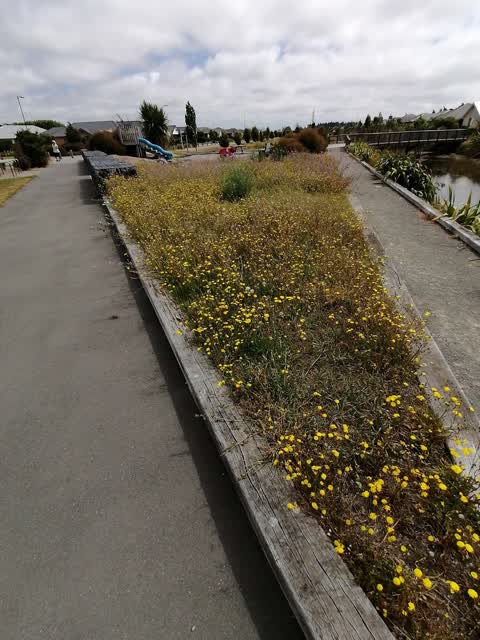 Parks, a report photo