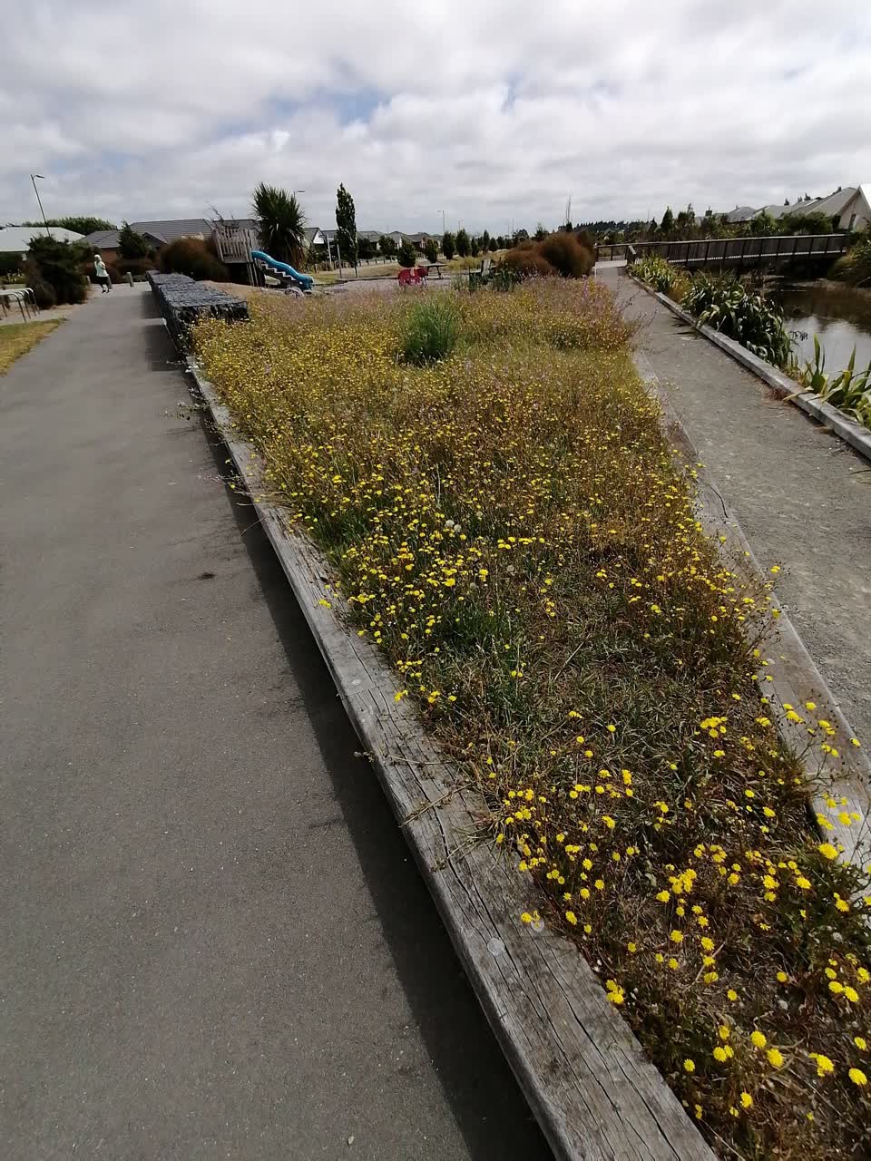 The photograph attached to this parks report