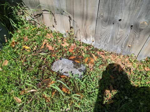 Water Leak, a report photo