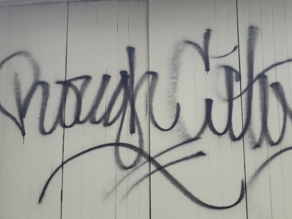 The photograph attached to this graffiti report
