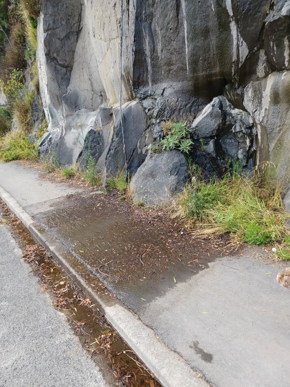 The photograph attached to this water leak report