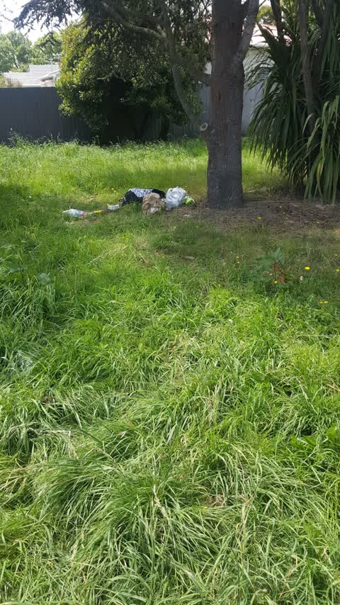 Rubbish/Recycling — a report photo