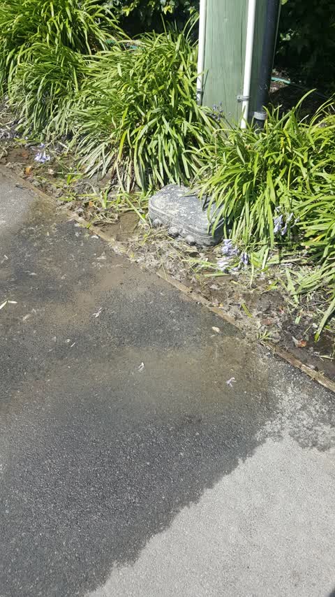 Water Leak, a report photo