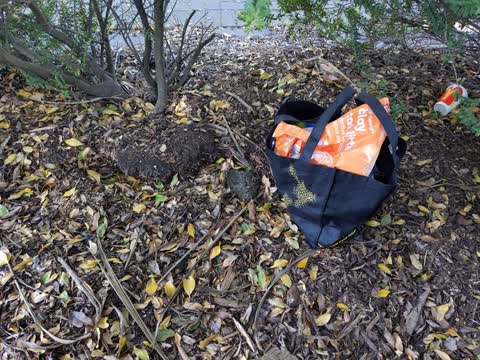 Rubbish/Recycling — a report photo