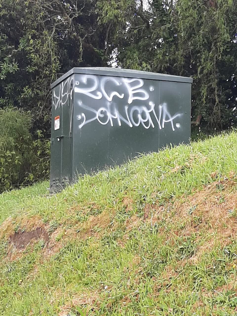 The photograph attached to this graffiti report