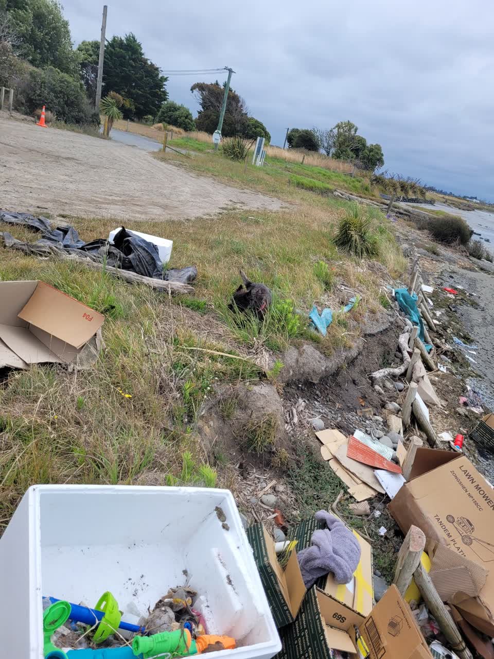 The photograph attached to this rubbish/recycling report