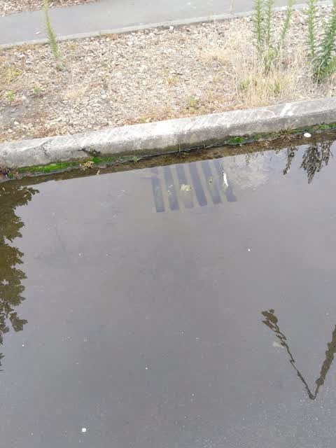 Wastewater/Stormwater, a report photo