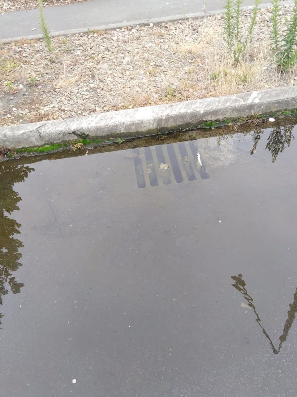 The photograph attached to this wastewater/stormwater report