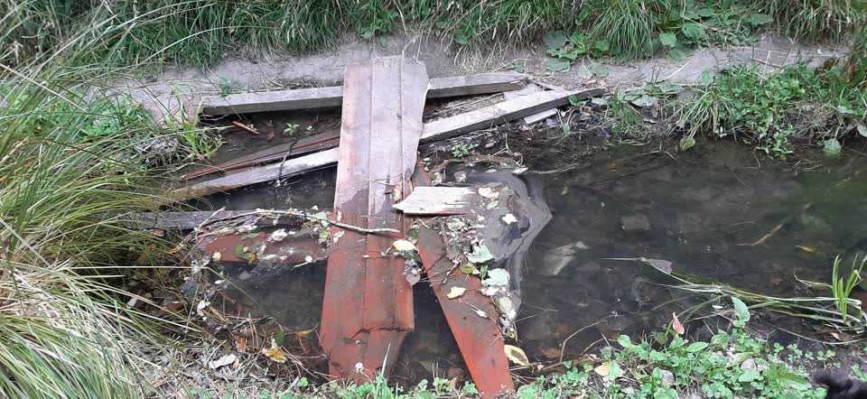 The photograph attached to this parks report