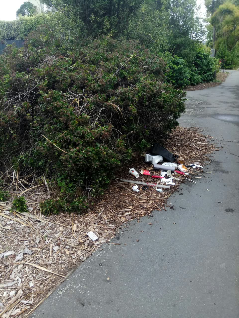 The photograph attached to this rubbish/recycling report