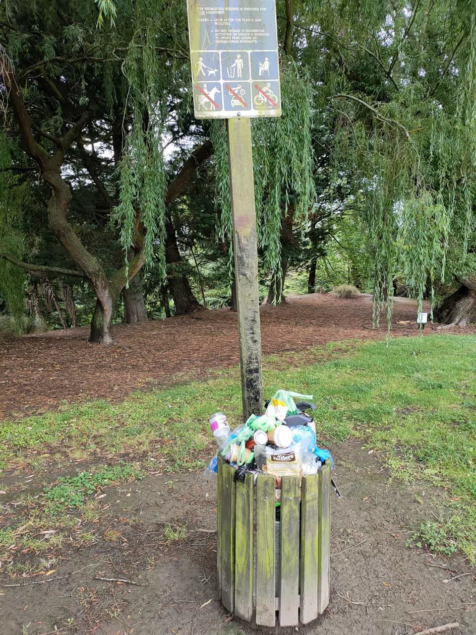 The photograph attached to this rubbish/recycling report