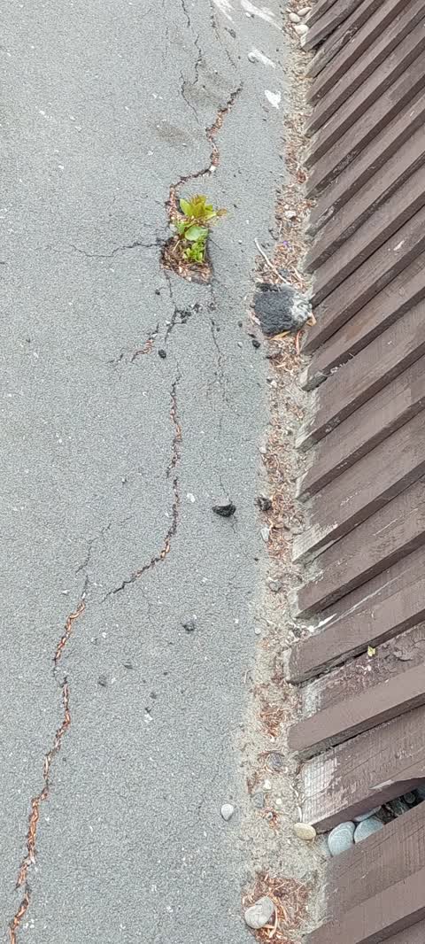 Roading/Streets, a report photo