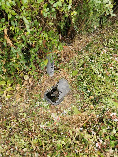 Water Supply, a report photo