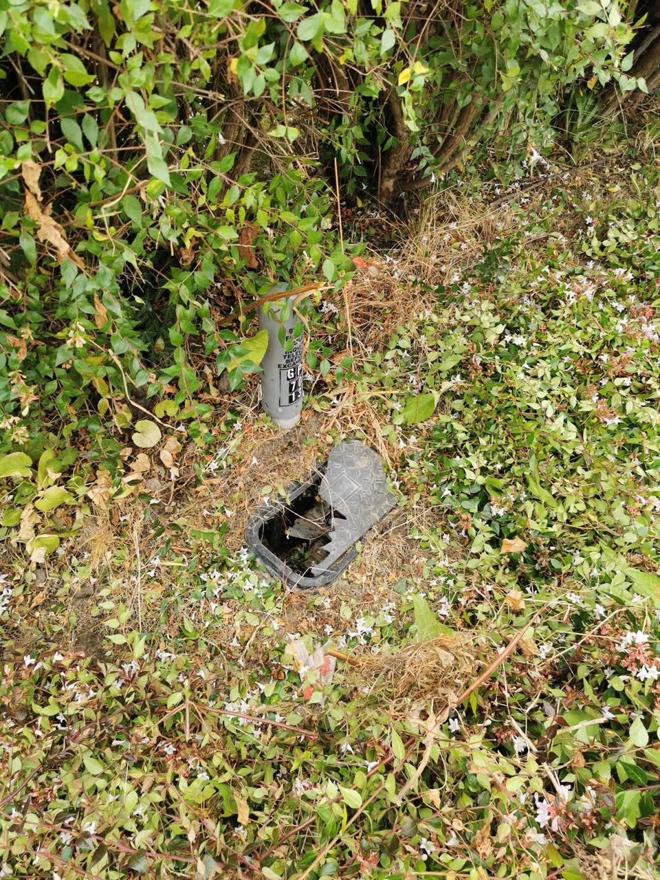 The photograph attached to this water supply report