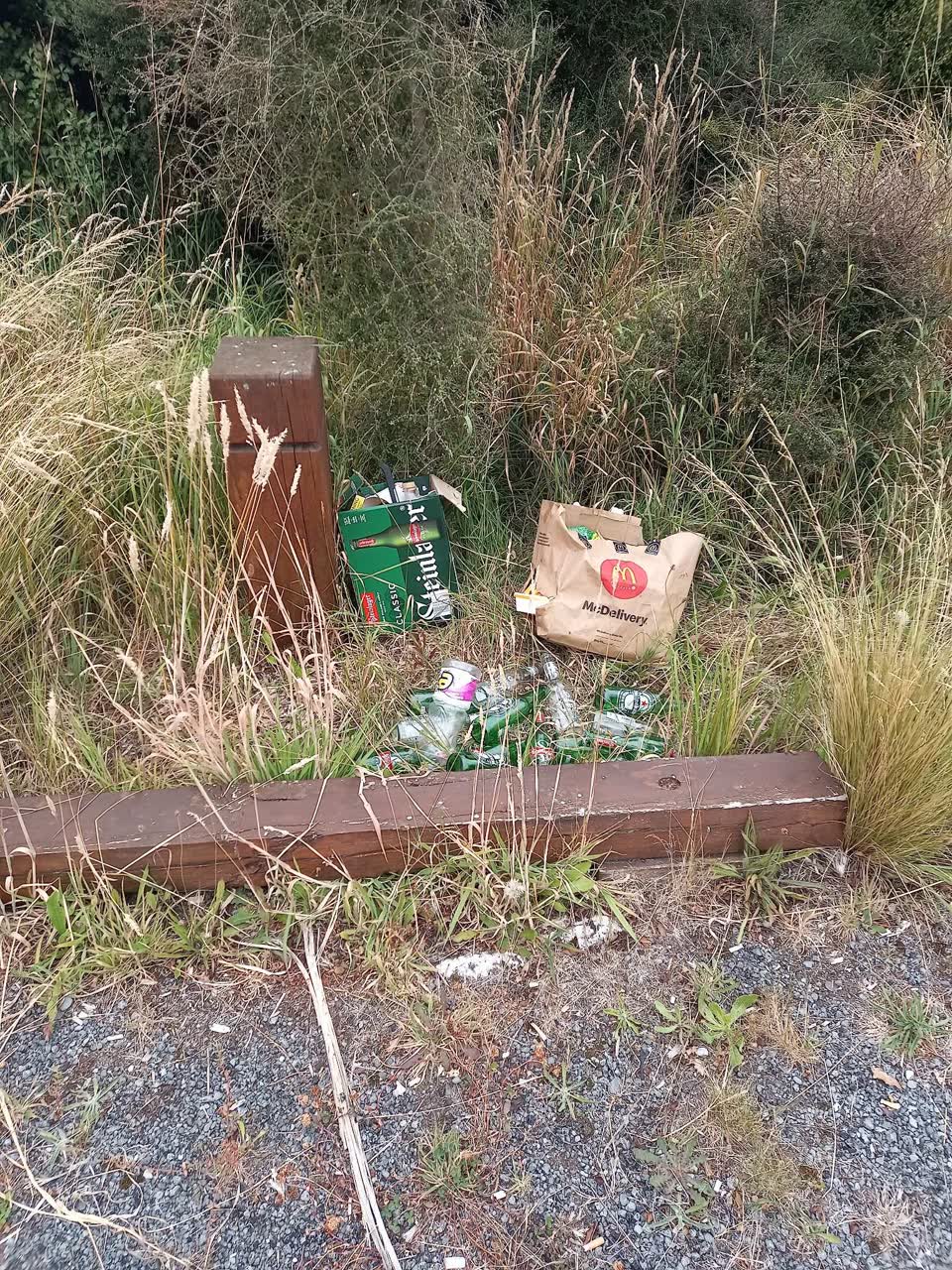 The photograph attached to this parks report