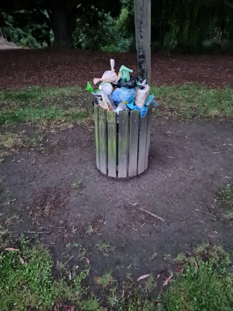 Rubbish/Recycling, a report photo