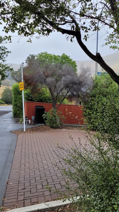 Roading/Streets, a report photo