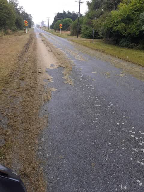 Roading/Streets, a report photo