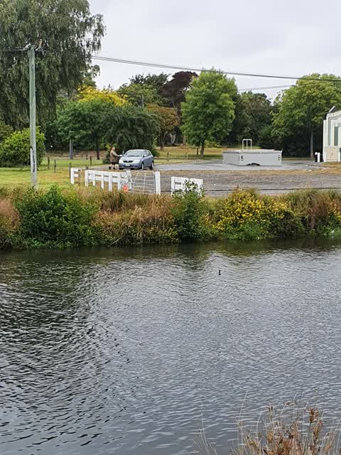 Parks, a report photo