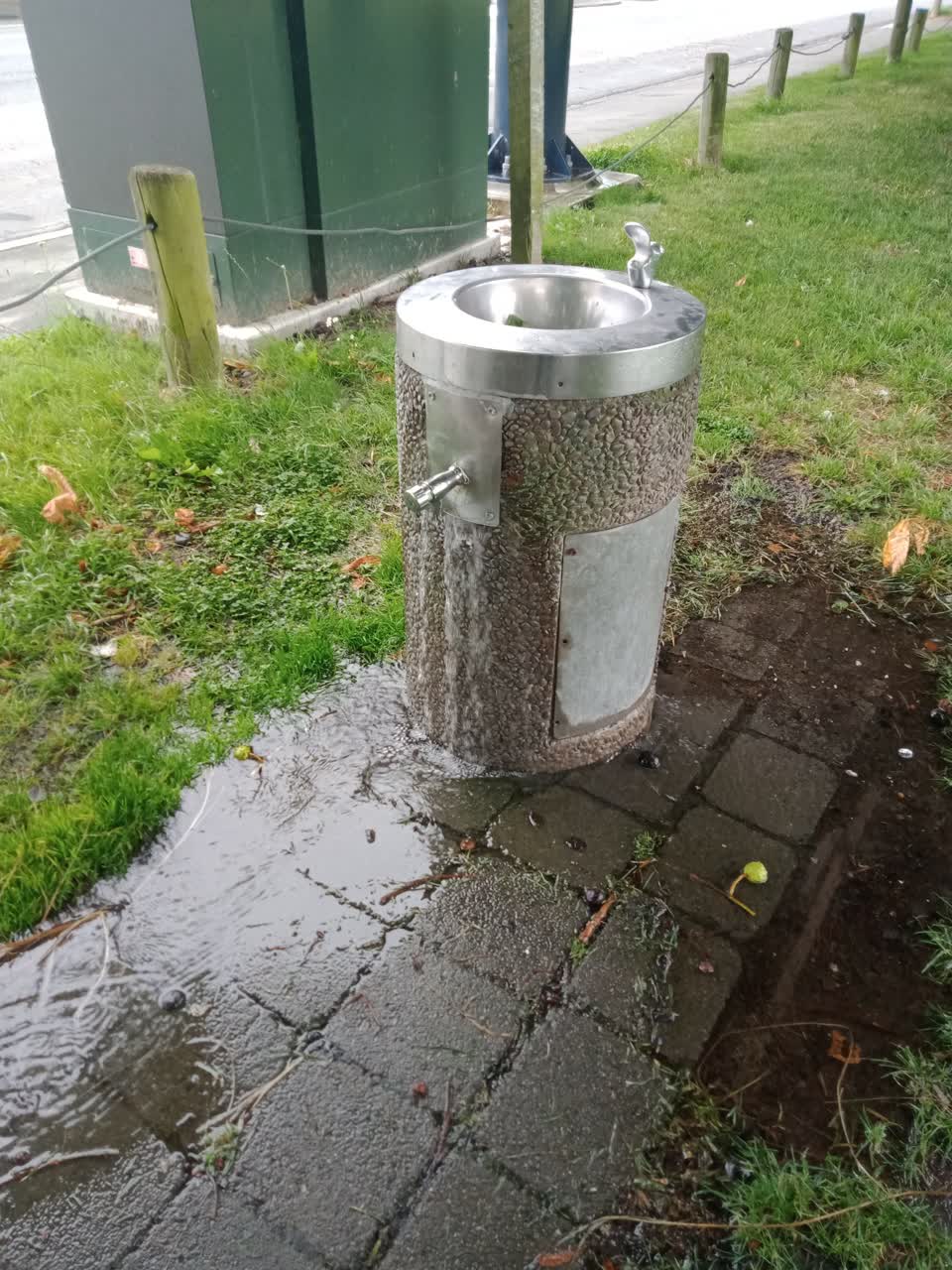 The photograph attached to this water leak report