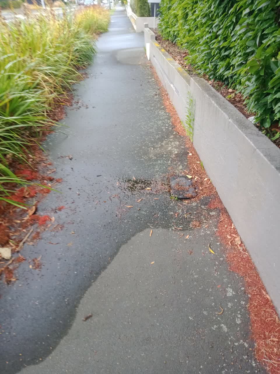 The photograph attached to this water leak report