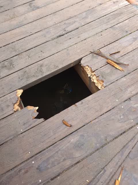 Parks, a report photo