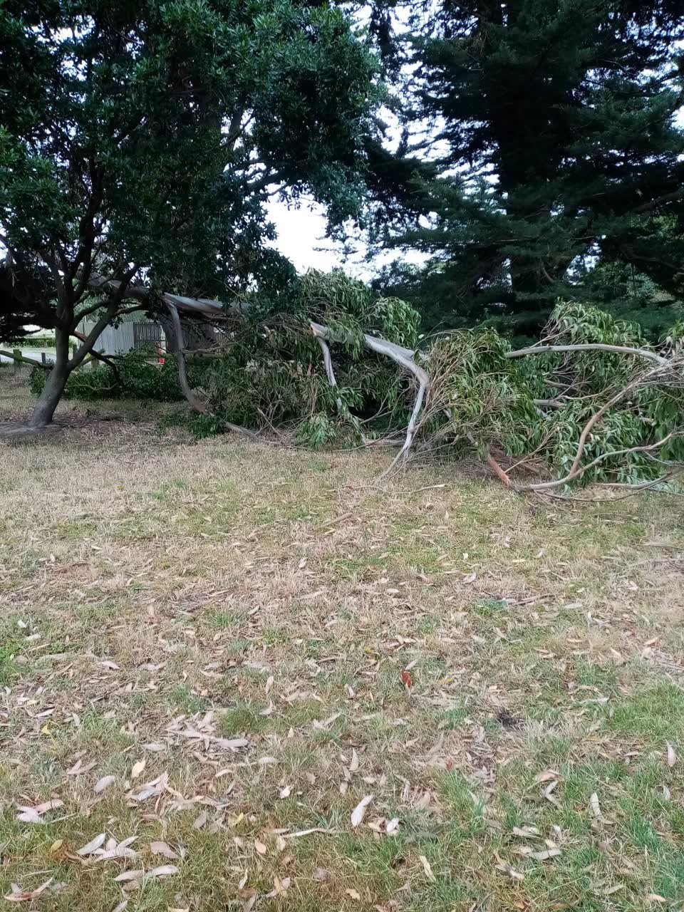 The photograph attached to this parks report