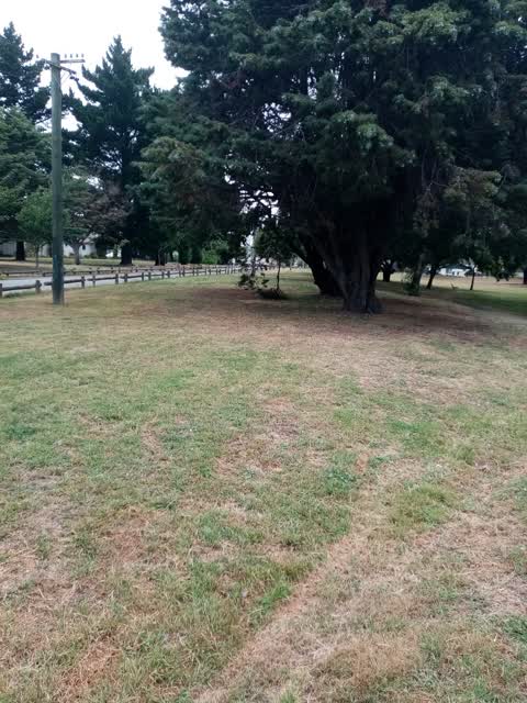 Parks, a report photo