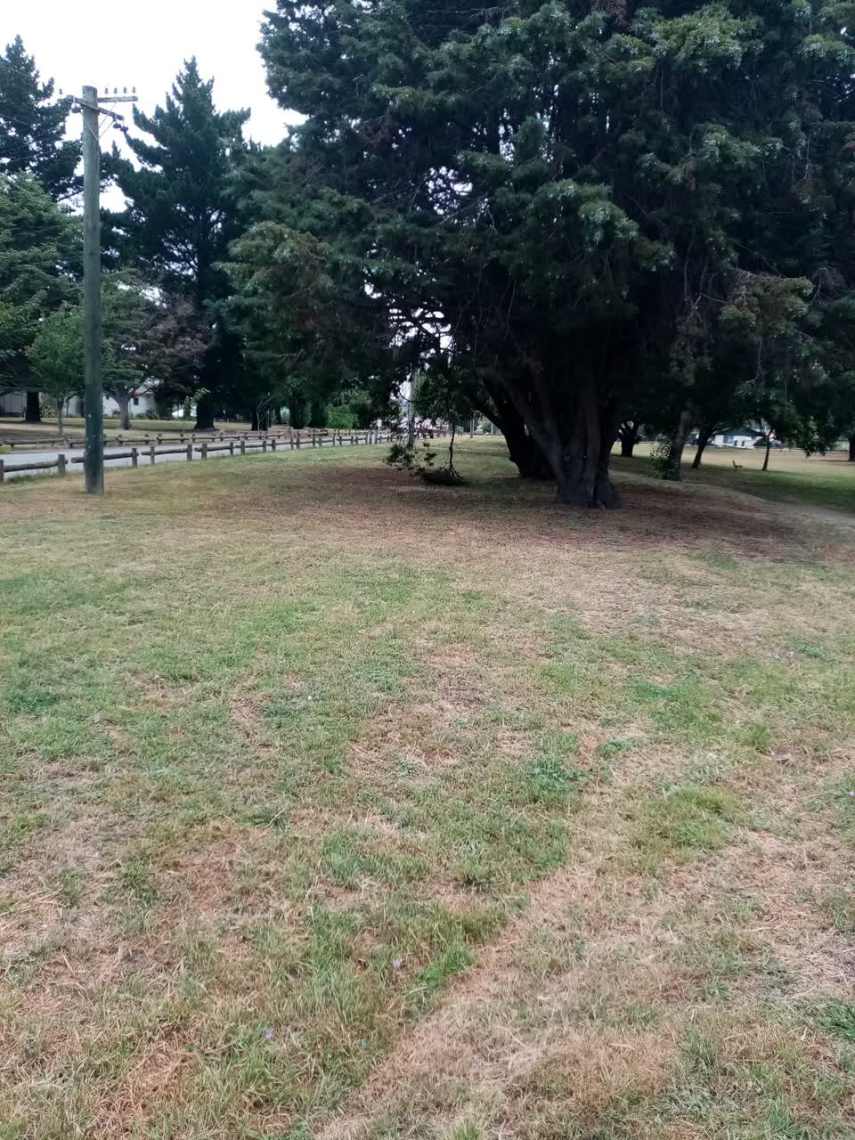 The photograph attached to this parks report