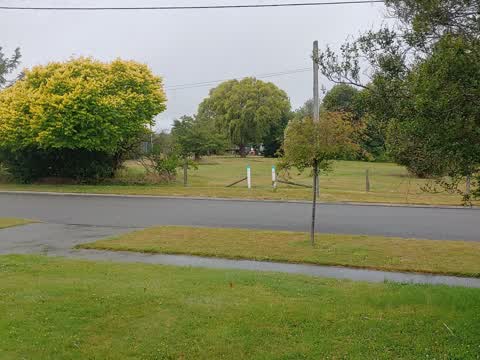 Parks, a report photo