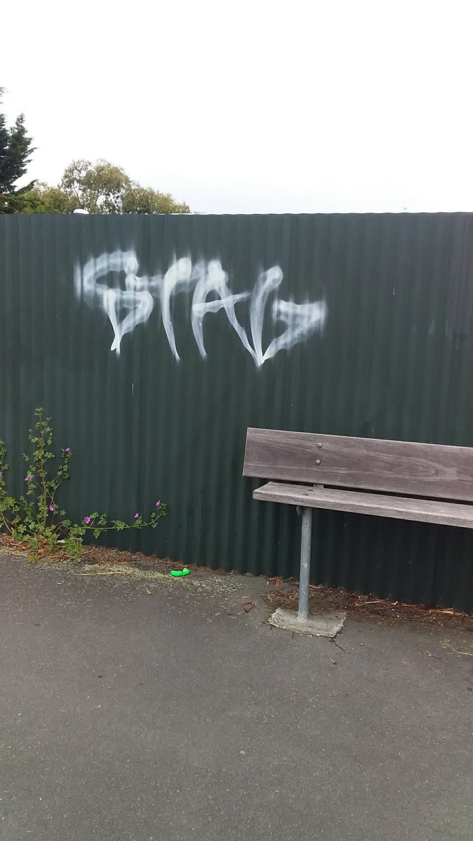 The photograph attached to this graffiti report