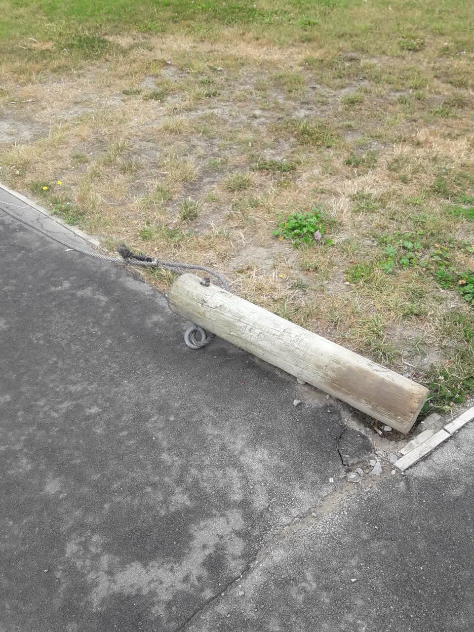 The photograph attached to this parks report