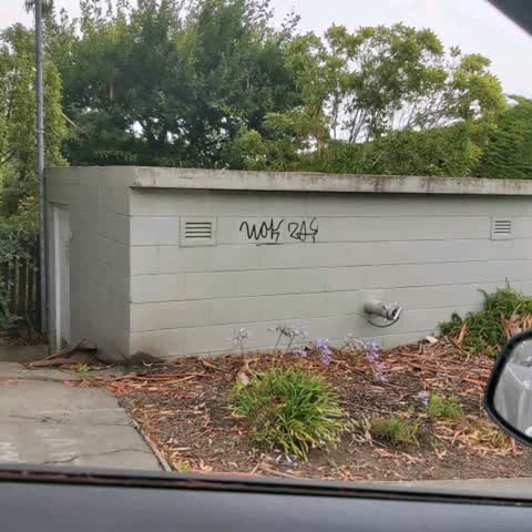Graffiti, a report photo