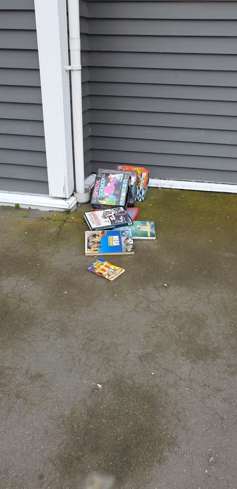 Rubbish/Recycling, a report photo