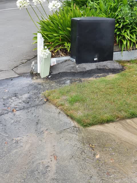 Water Leak, a report photo