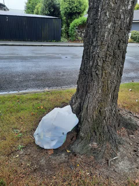 Rubbish/Recycling, a report photo
