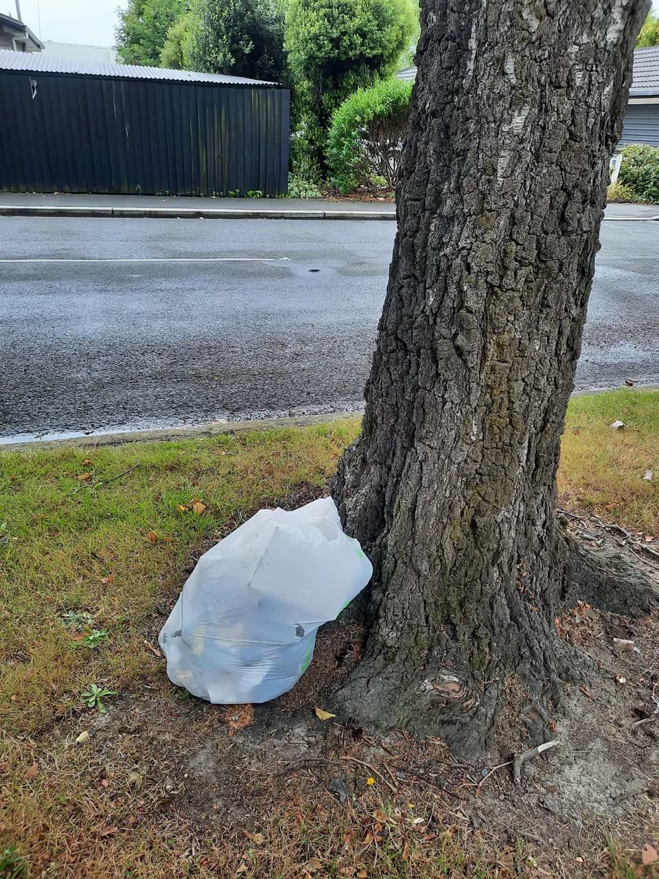 The photograph attached to this rubbish/recycling report