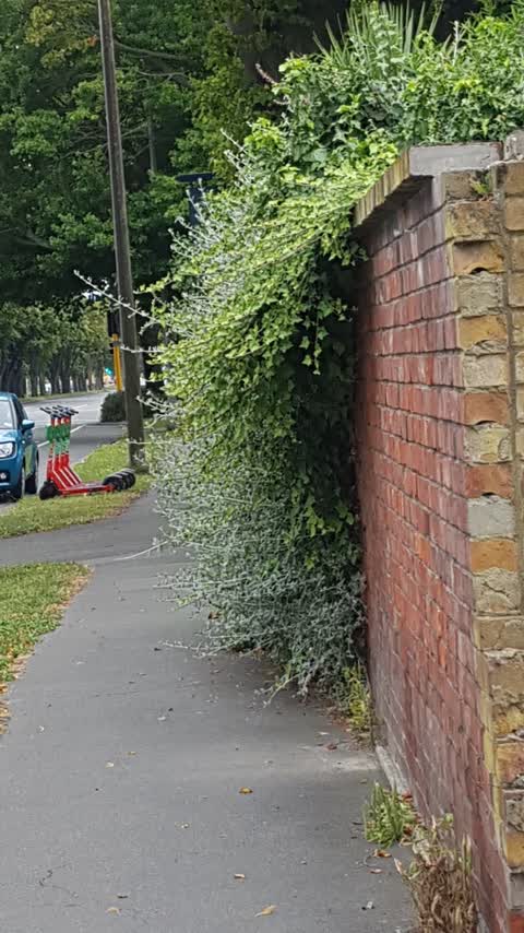 Roading/Streets, a report photo