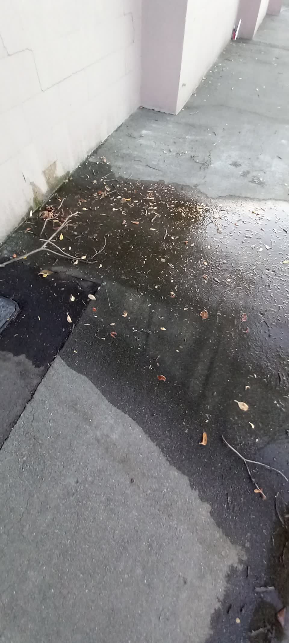 The photograph attached to this water leak report
