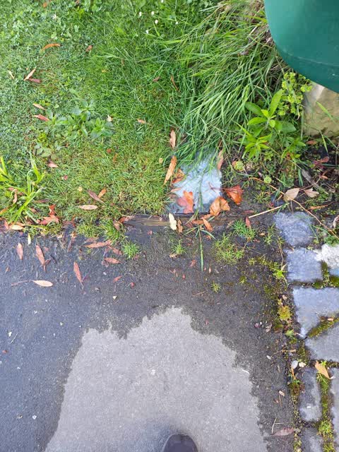 Water Leak, a report photo