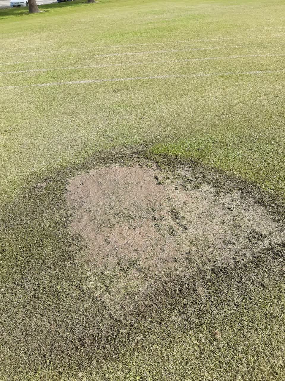 The photograph attached to this parks report