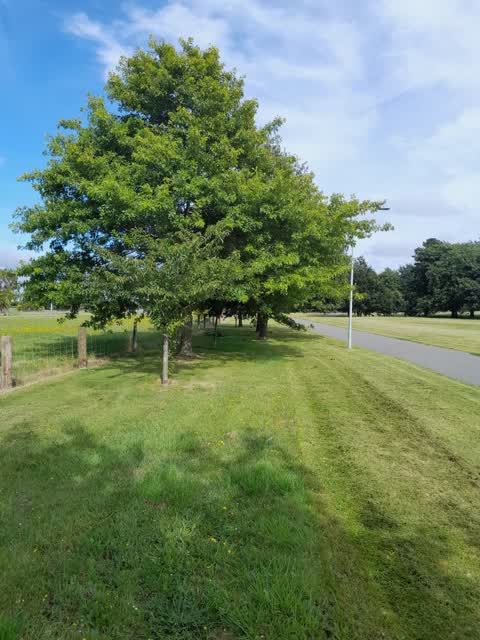 Parks — a report photo