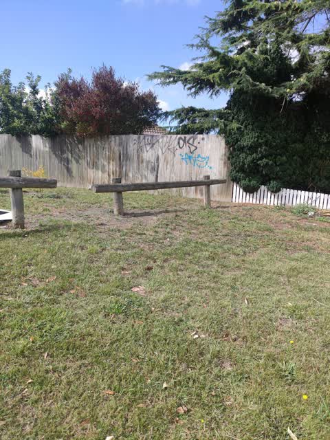 Graffiti — a report photo